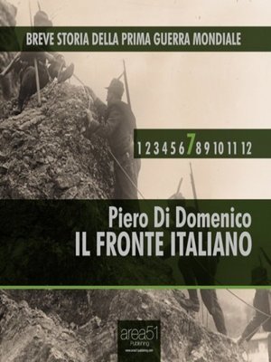 cover image of Breve storia della Prima Guerra Mondiale Volume 7--Il fronte italiano